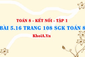 Bài 5.16 trang 108 SGK Toán 8 tập 1 Kết nối tri thức